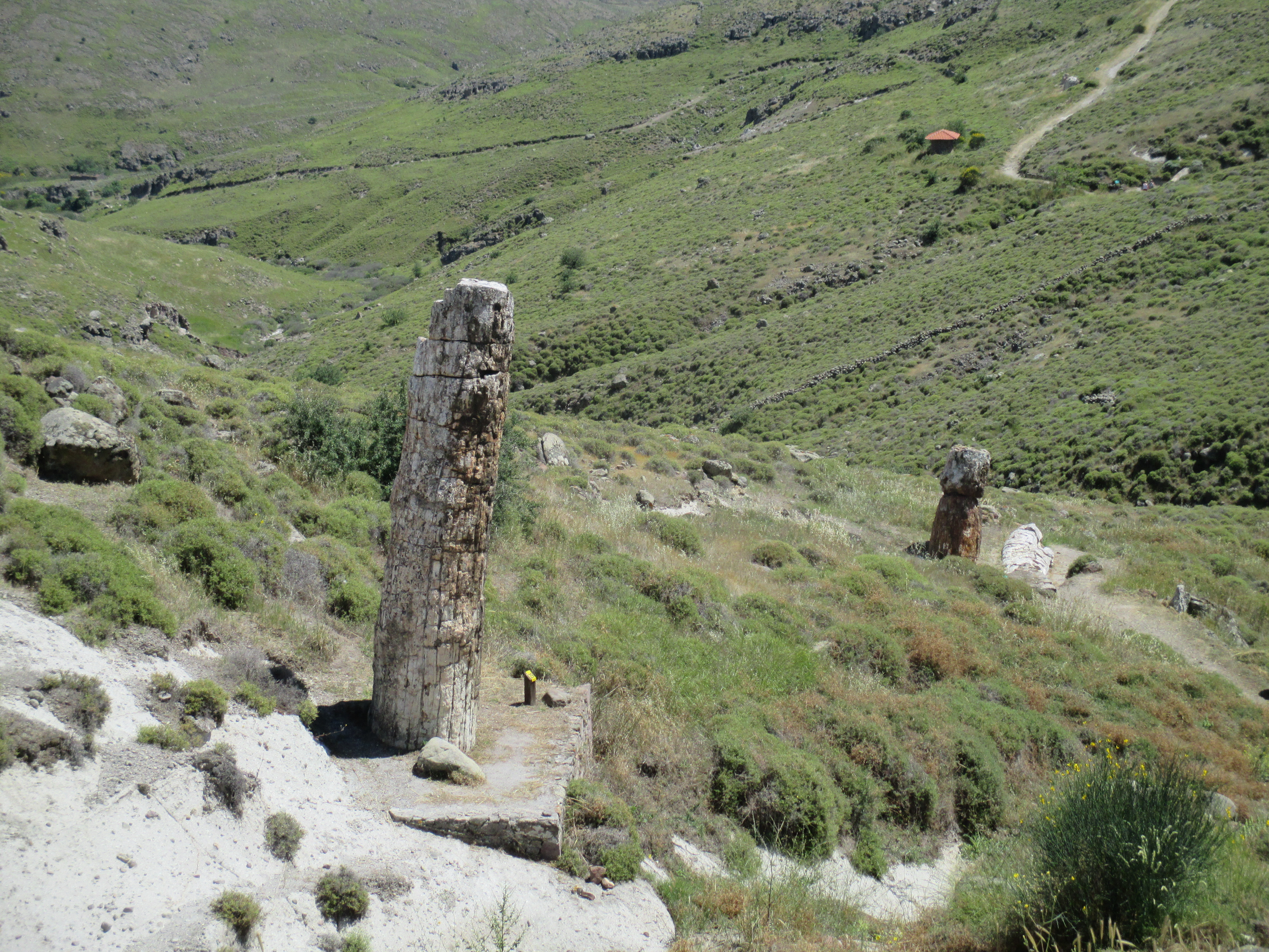 Explore the island and visit the Petrified Forest – unique in the world, with only two of its kind: here and in California – and see the famous petrified sequoia